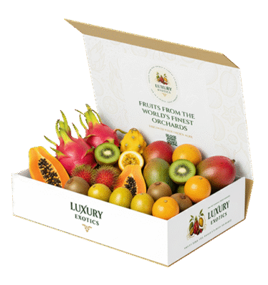 Medium – Seasonal Fruit Collection