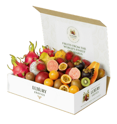 Large – Seasonal Fruit Collection