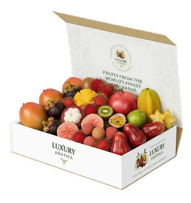 Small – Seasonal Fruit Collection